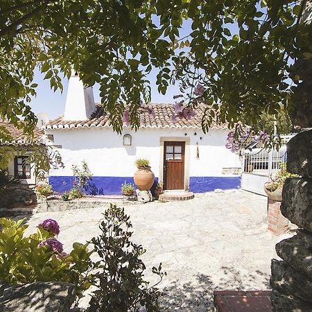 Вилла Casa Do Professor Casais dos Monizes Экстерьер фото