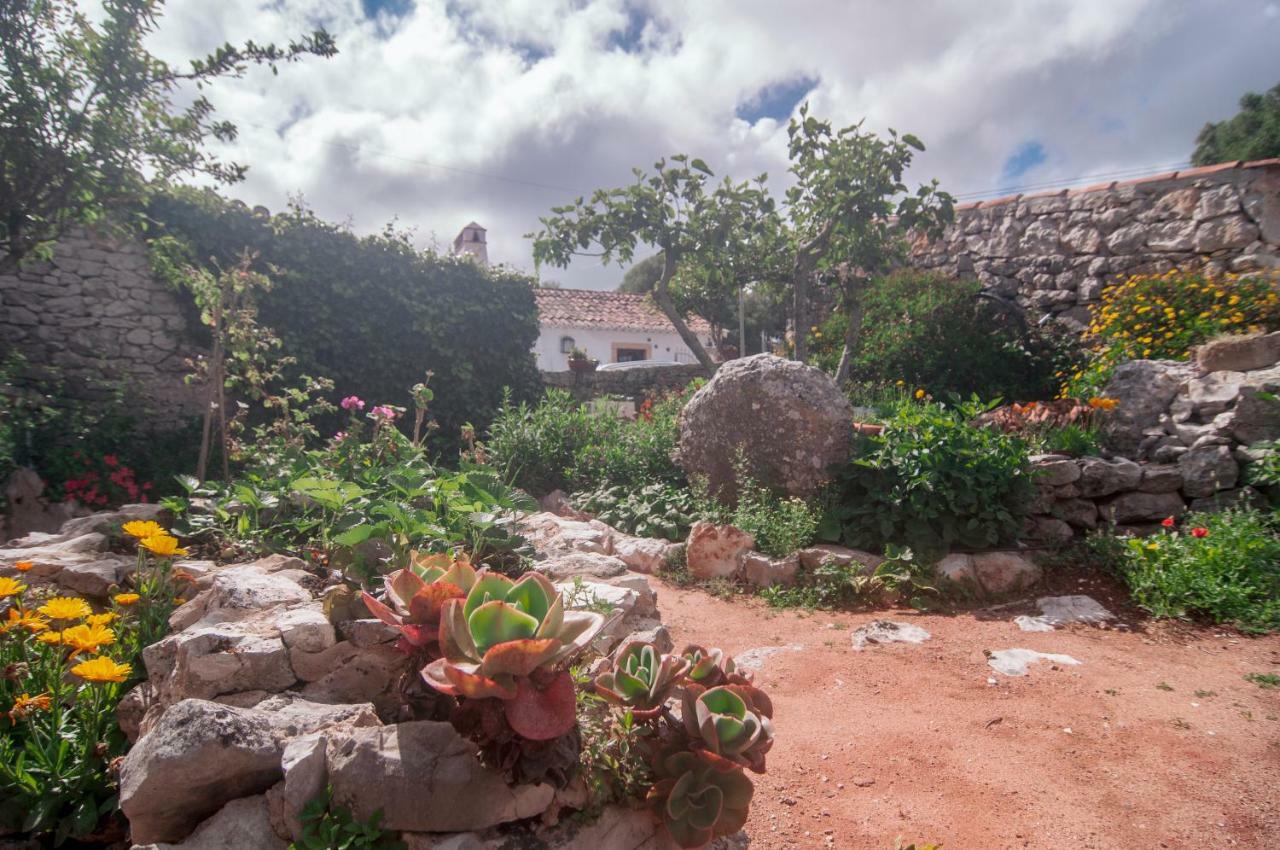 Вилла Casa Do Professor Casais dos Monizes Экстерьер фото